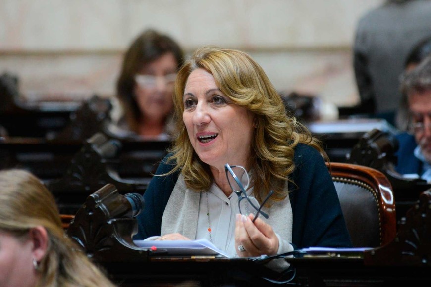 Monica Fein - perfil