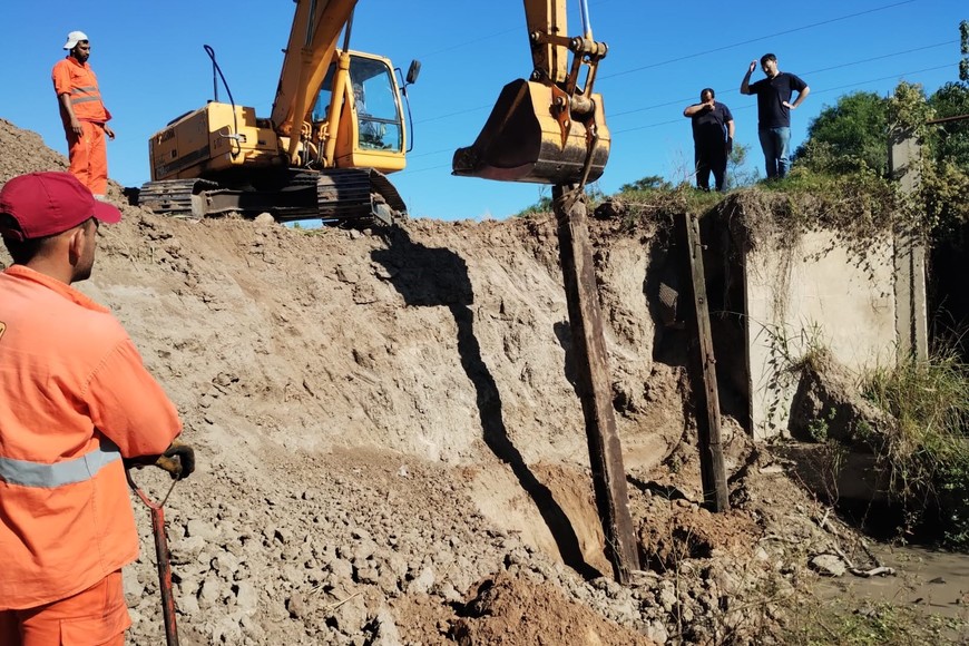 Créditos: Gentileza