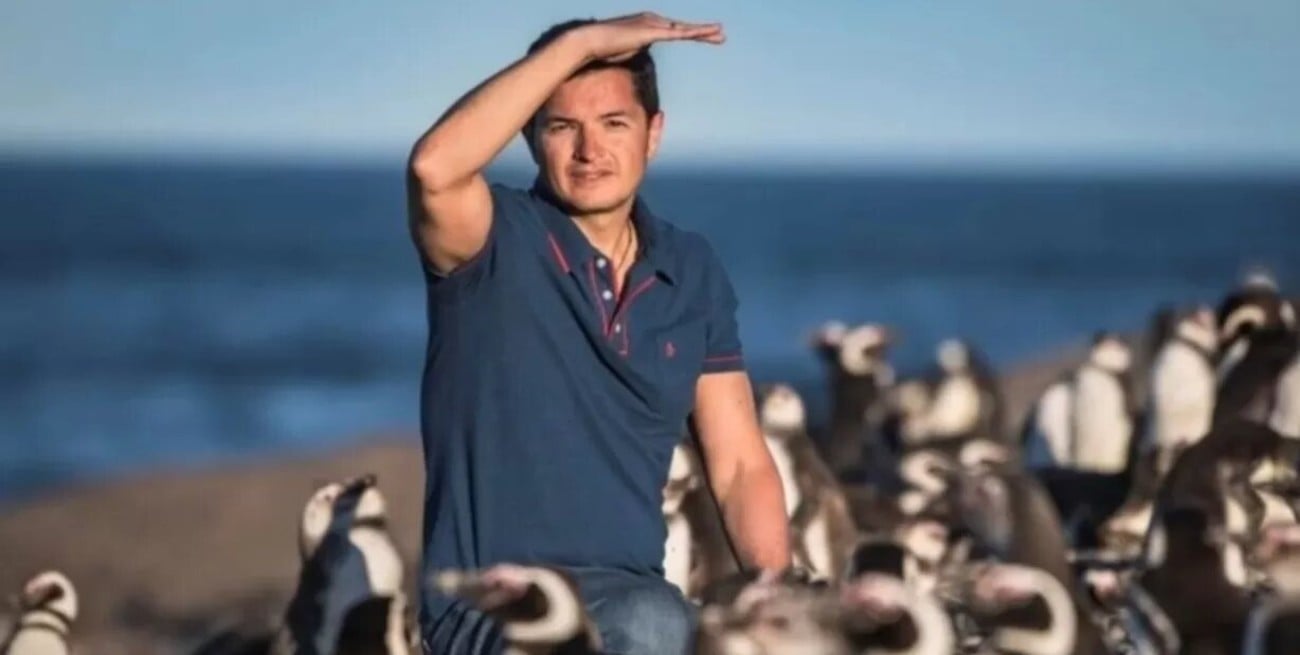 El trabajo con pingüinos del argentino que ganó el "Nobel" de la conservación animal