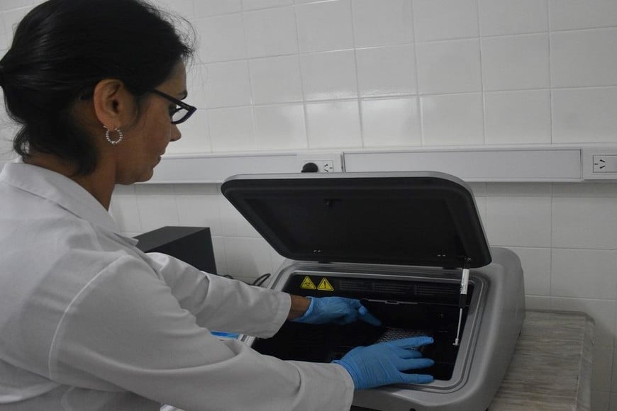 El tamizaje preventivo para el cáncer cervicouterino se realiza de forma gratuita a mujeres entre los 30 y 64 años. Foto: Mauricio Garín