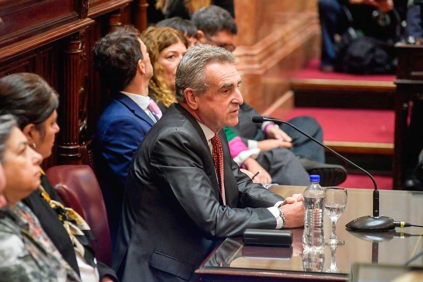 definiciones previa a las PASO