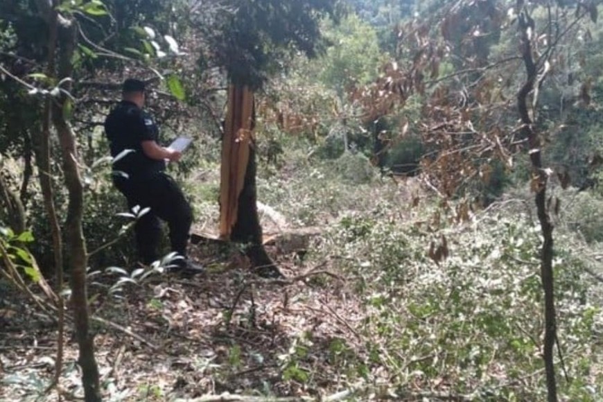 El Juzgado de Instrucción Nro. 2 de Jardín América, dispuso que el cuerpo sea entregado a sus familiares.