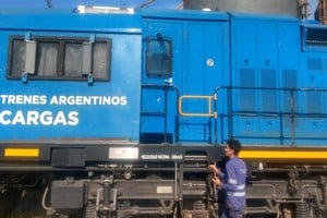 Un hombre disparó en varias oportunidades contra la locomotora