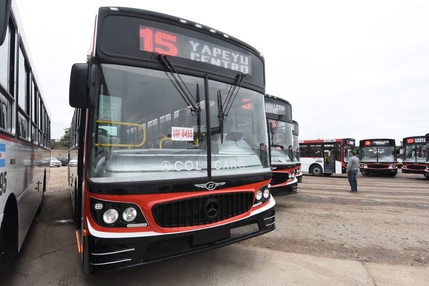 Comienza la renovación de colectivos urbanos en la ciudad