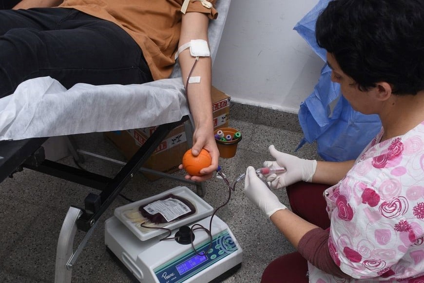 El Campus FAVE de la Universidad Nacional del Litoral será sede para el desarrollo de una jornada de Hemodonación impulsada por UNL, el Gobierno de la Provincia de Santa Fe a través de CUDAIO y Jeráquicos Salud.