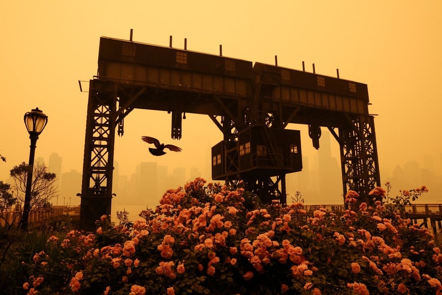 A bird flies at Gantry Plaza State Park as haze and smoke from the Canadian wildfires shroud the Manhattan skyline in the Queens Borough of New York City, U.S., June 7, 2023. REUTERS/Shannon Stapleton