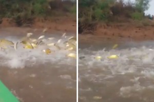 El momento del espectáculo.