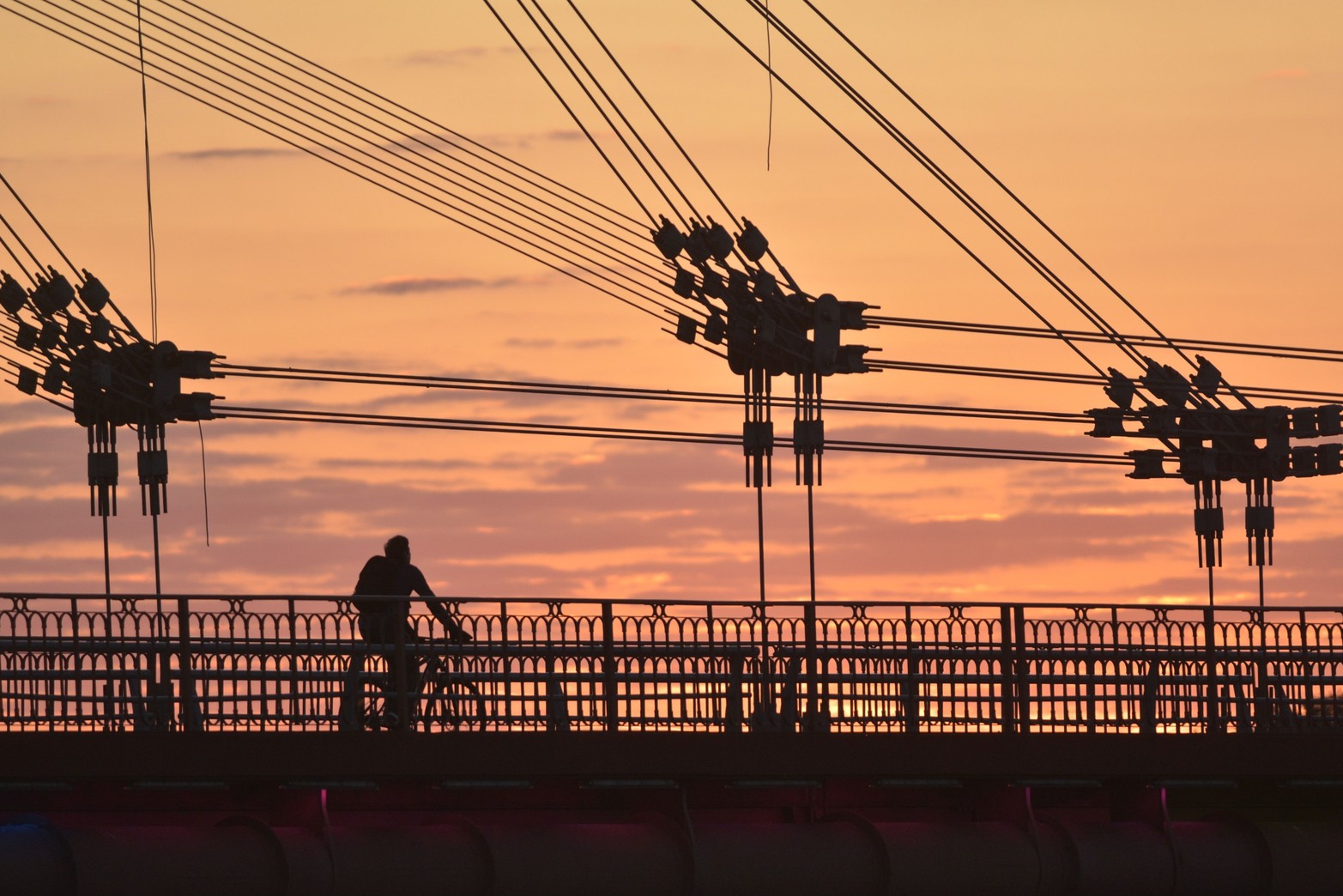 Los tensores. Fundamental para que funcione la estructura.