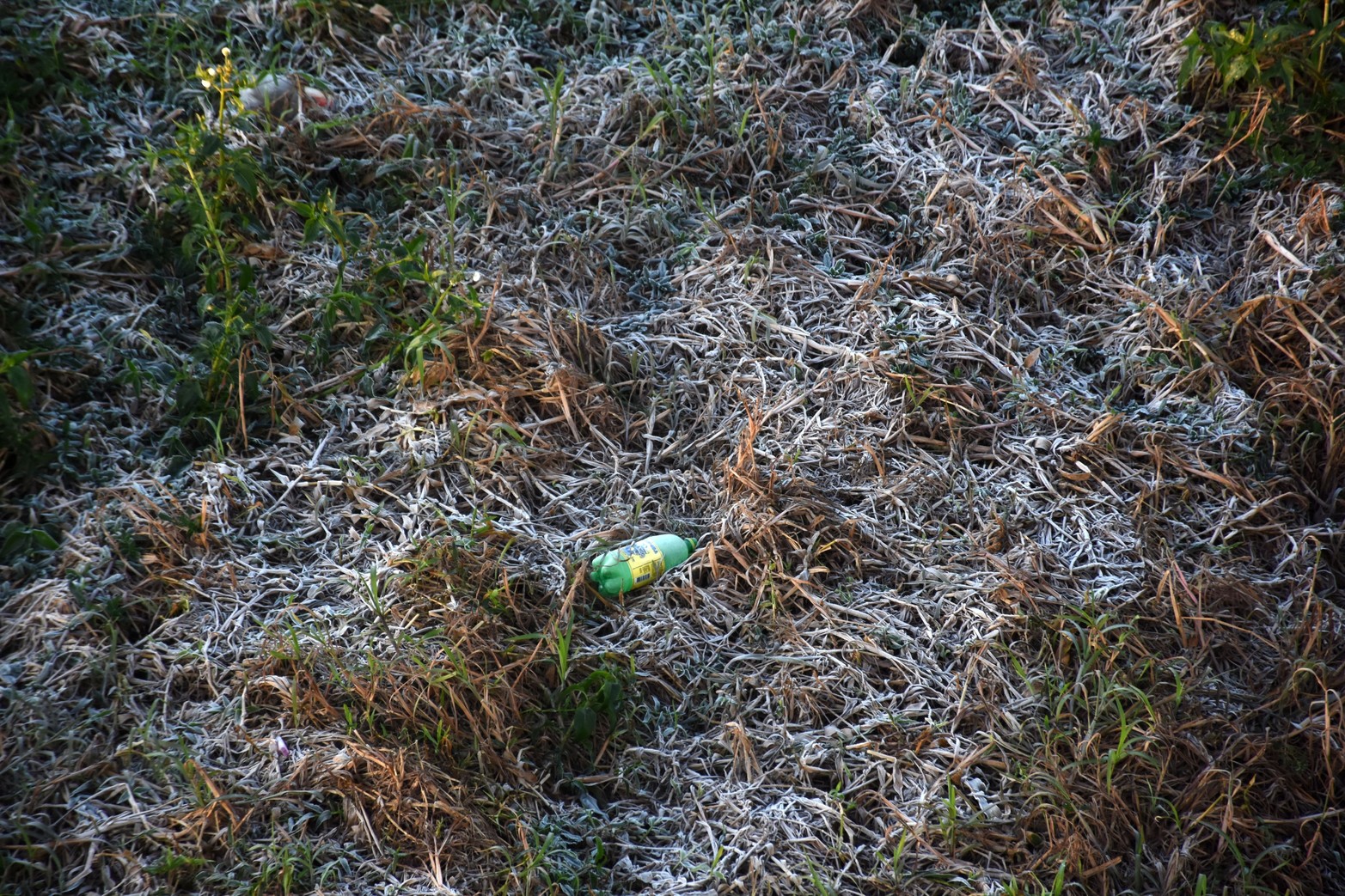 Las bajas temperaturas se hacen sentir. En la ciudad rondó los 5 grados y en zonas rurales se acercó a los 0 grados.