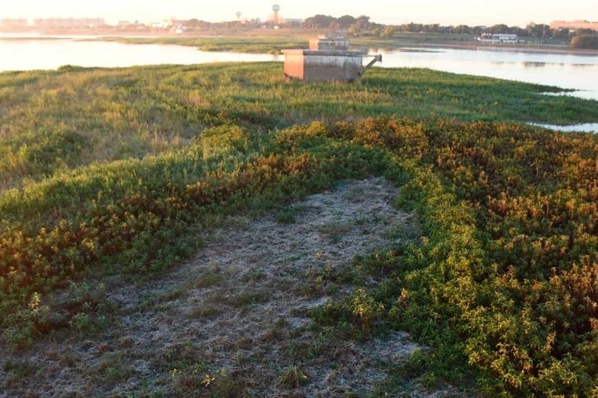 Heladas Embalsado Setubal. Crédito: Mauricio Garín