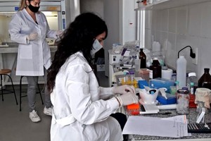 El estudio reveló que los gatos se infectan en mayor proporción que los perros