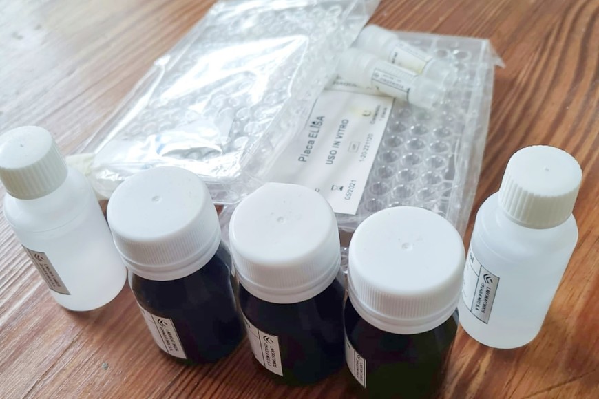 El nuevo desarrollo se presentará al Senasa para su aprobación