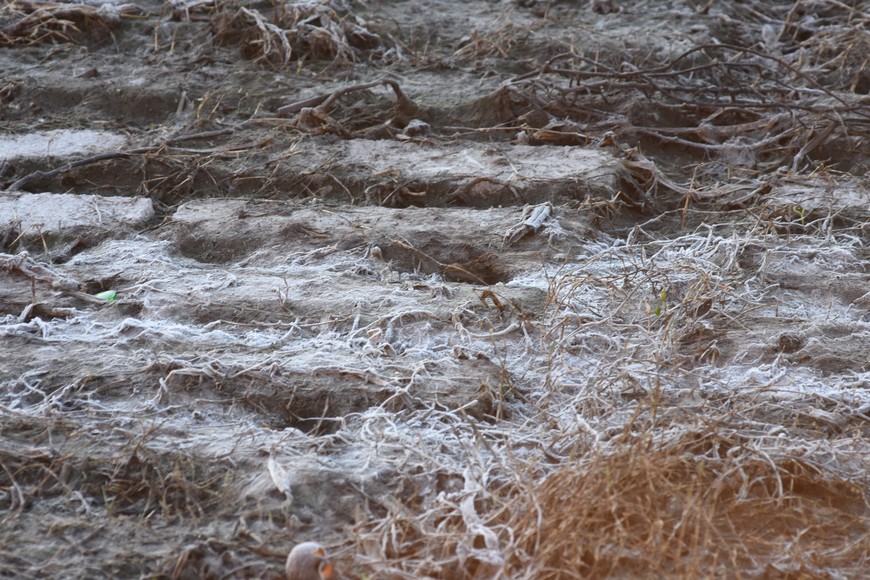 es crucial tomar medidas preventivas. Créditos: Mauricio Garin