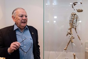 El paleoantropólogo estadounidense y descubridor del esqueleto de "Lucy", Donald C. Johanson, junto a una réplica del esqueleto de "Lucy" en el Museo Senckenberg.