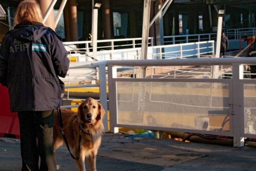 Durante la inspección realizada por los agentes aduaneros, se observó un mobiliario sumamente deteriorado.