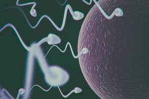 Científicos desarrollaron un nuevo método que activa a los espermatozoides