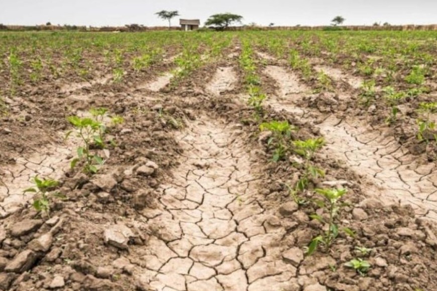 Sequía Argentina