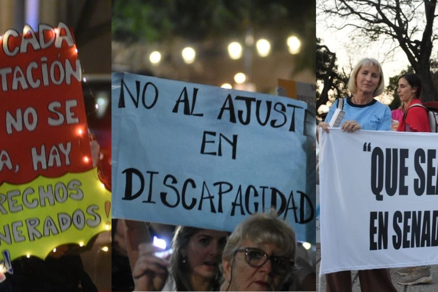 Juan Cruz Zwiener, representante de PreDisASF. Crédito: Manuel Fabatía.