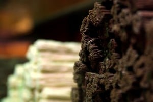 El Día Mundial del Cacao celebra la producción de este ingrediente esencial para el chocolate, reconociendo su importancia en la industria y resaltando su impacto cultural y económico a nivel global. Foto: Reuters