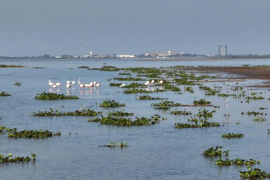 Vida y muerte en la Setubal  - Crédito: Fernando Nicola