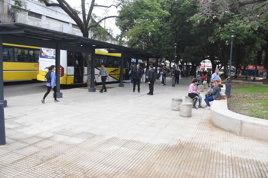 Colectivos . Crédito: Guillermo Di Salvatore