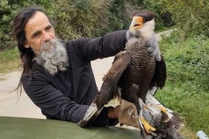 Ricardo uno de los "héroes", con ojos llenos de emoción, en el momento previo a liberar al carancho. Foto: Gentileza Iván Viera