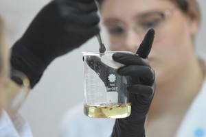 "Me va a servir para afrontar parte del alquiler y gastos de alimentación", dijo una de las jóvenes, que estudia en Santa Fe y es de La Sarita, en el norte provincial. Crédito: Mauricio Garín