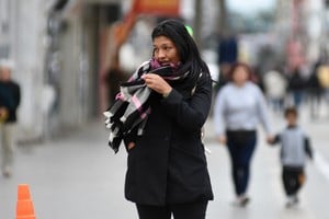 Se pueden observar diferentes respuestas ante la misma temperatura. Crédito: Pablo Aguirre.