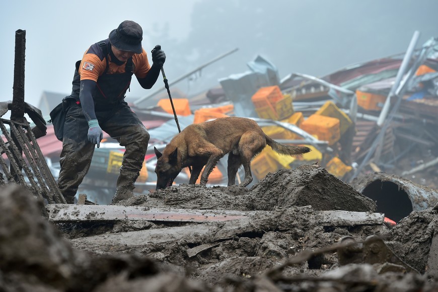 (230716) -- SEUL, 16 julio, 2023 (Xinhua) -- Un rescatista y un perro rastreador trabajan en el sitio de un deslizamiento de tierra, en el condado de Yecheon, en la provincia de Gyeongsang del Norte, República de Corea, el 16 de julio de 2023. El número de muertos por las lluvias torrenciales registradas esta última semana en República de Corea aumentó a 33, mientras que 10 personas permanecen desaparecidas, dijeron el domingo las autoridades pertinentes. Según la sede central de contramedidas de seguridad y desastres, 33 personas fueron encontradas muertas en la provincia suroriental de Gyeongsang del Norte y la provincia central de Chungcheong. (Xinhua/NEWSIS) (rtg) (ah) (da)