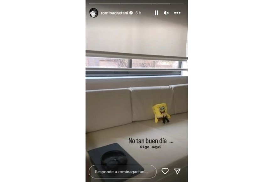 La semana pasada Romina Gaetani fue internada  de urgencia