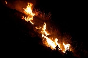 A man tries to extinguish a wildfire in the Sicilian village of Altofonte, near Palermo, Italy July 26, 2023. REUTERS/Alberto Lo Bianco NO RESALES. NO ARCHIVES