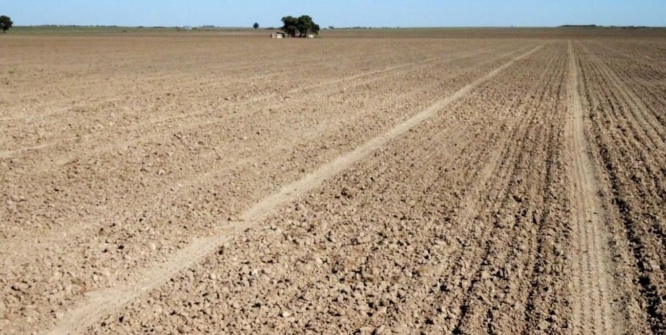 Para Costamagna, la llegada de El Niño es una buena noticia tras la sequía