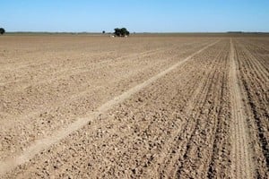 La llegada de El Niño traería más agua a unos suelos con déficit hídrico como los de Santa Fe. Crédito: Archivo El Litoral