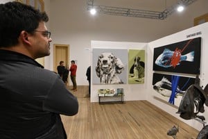 La serie “Peces” obtuvo el premio adquisición otorgado por Santa Fe Arte en la reciente +Feria de Arte Contemporáneo. Crédito: Manuel Fabatía.