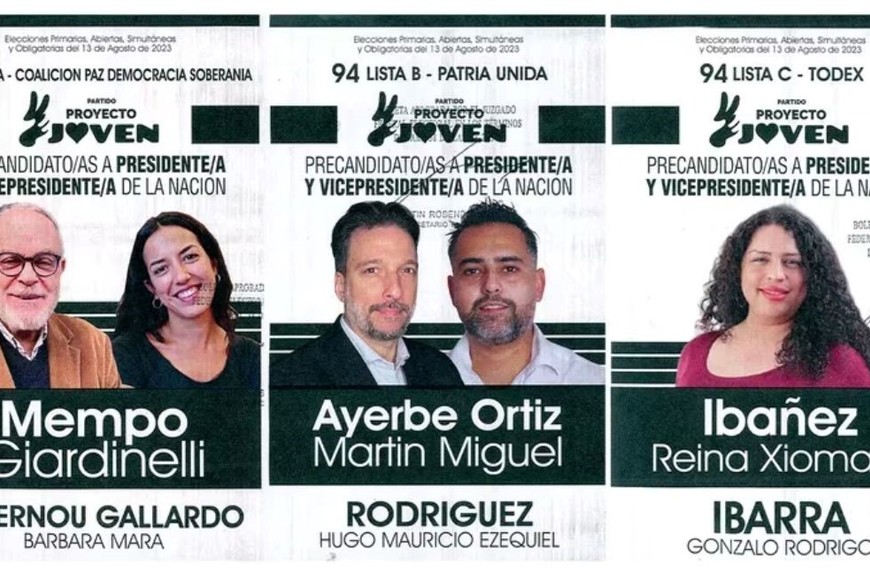 Los precandidatos que aún no presentaron las boletas.