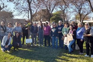 La jornada de plantación continuará en diferentes lugares de San Javier, y se invita a la comunidad a participar.