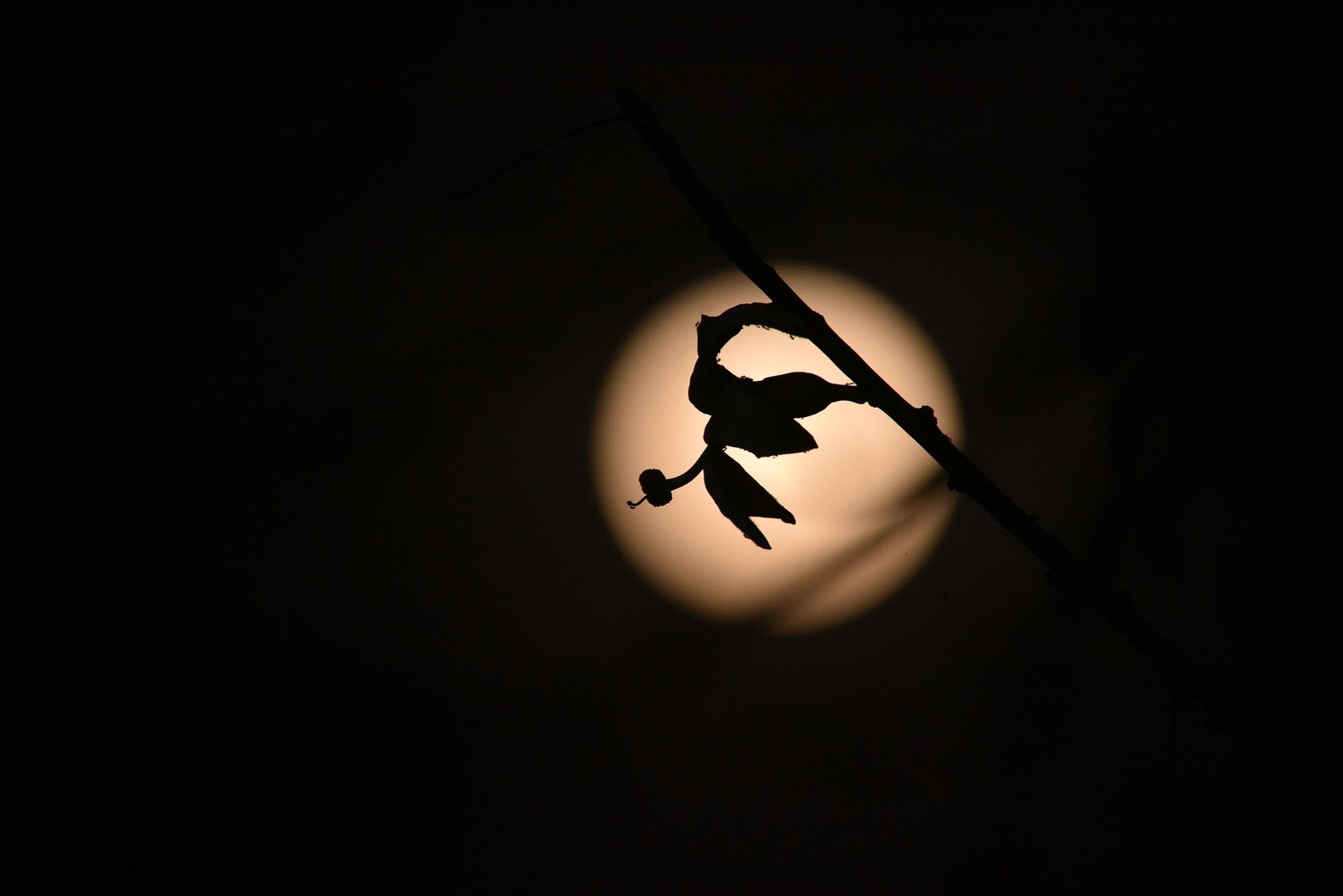 La Superluna Esturión desde Santa Fe. Foto: Manuel Fabatía