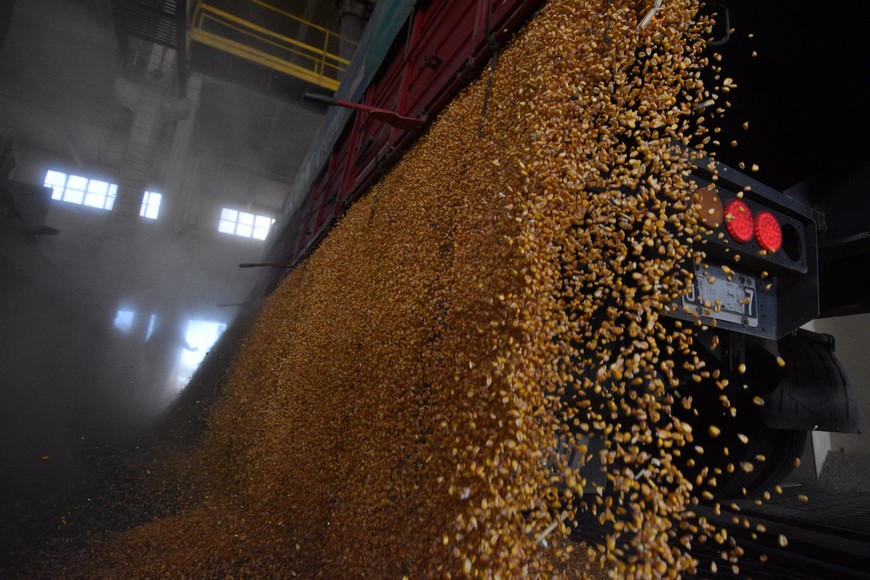 Imagen ilustrativa. Foto: Mauricio Garín