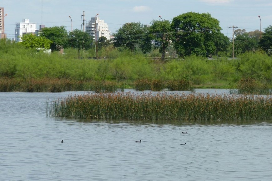 Reserva Oeste de la ciudad de Santa Fe.