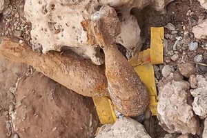 El hallazgo se produjo este viernes, en horas de la siesta, en las orillas del río Paraná.