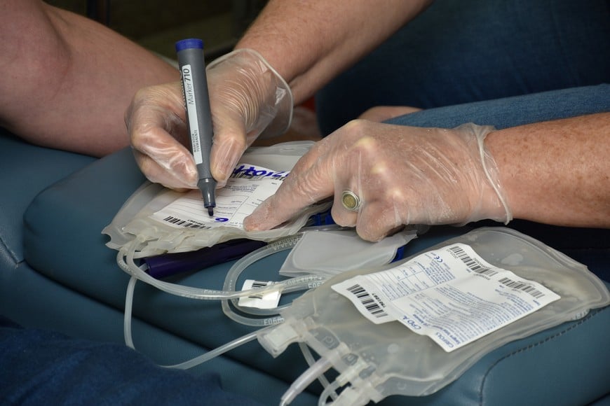 Manos Abiertas realizará su 19° colecta de sangre y registro de médula ósea en colaboración con CUDAIO Santa Fe.




Crédito: Guillermo Di Salvatore / Archivo.