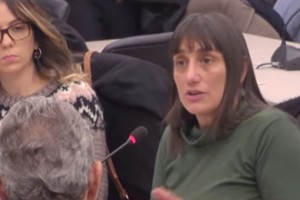 La diputada Vanesa Siley (Frente de Todos), titular de Legislación del Trabajo