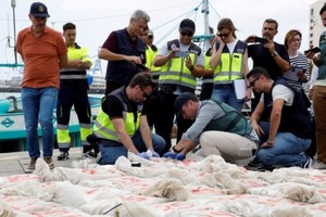 La organización delictiva de Ecuador disponía de una amplia red para enviar droga a España, principalmente a los puertos de Algeciras y Vigo.
