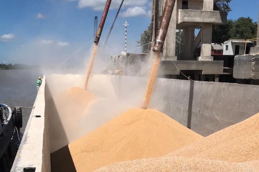 Actividad agroindustrial