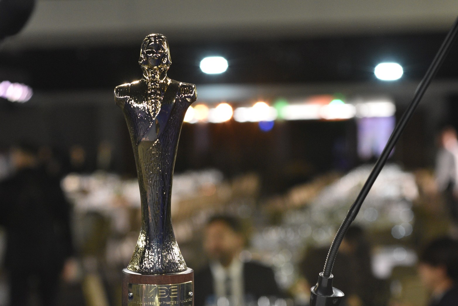 La edición 48 de los premios El Brigadier.