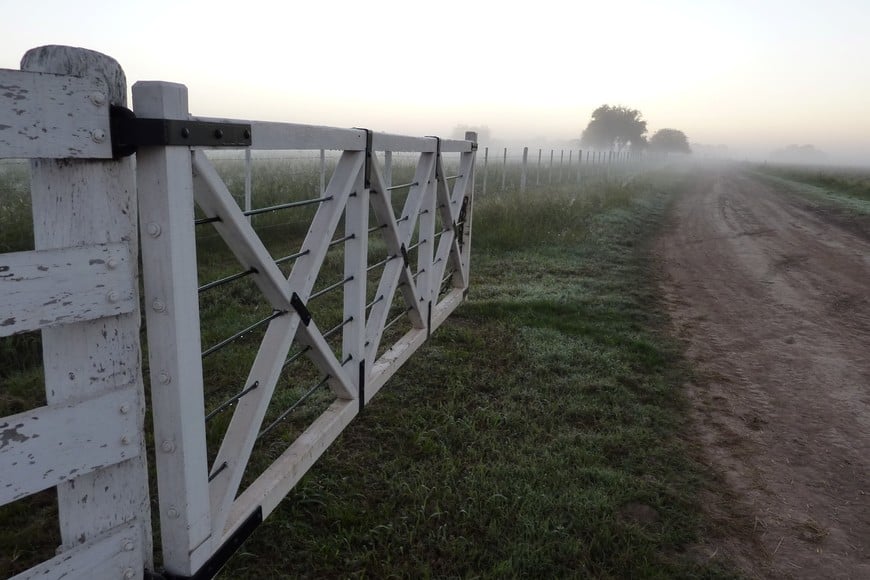 Escasez de oferta y demanda sostenida: el balance del mercado inmobiliario rural en el segundo semestre de 2025