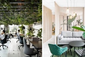 En un mundo cada vez más tecnológico y conectado, la necesidad de reconectar con la naturaleza se ha vuelto una prioridad para muchos.