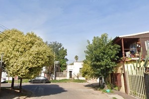 Una vecina de Llerena al 2900 pide soluciones por el reclamo de un árbol caído.