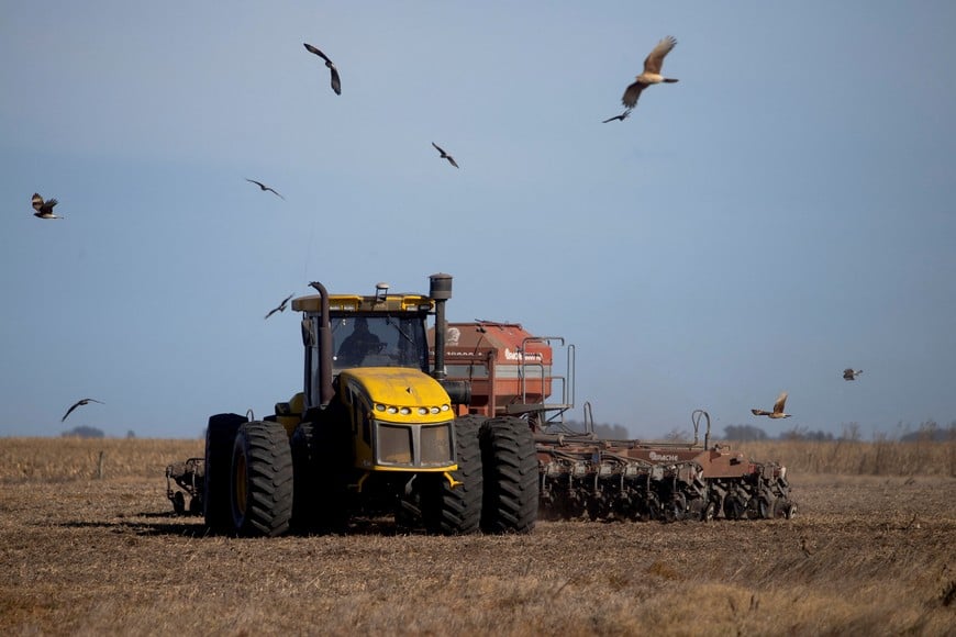 FILE PHOTO: An agricultural worker operates a tractor with a seeder to sow wheat on farmland in Comodoro Py, on the outskirts of Buenos Aires, Argentina June 21, 2022. REUTERS/Matias Baglietto/File Photo