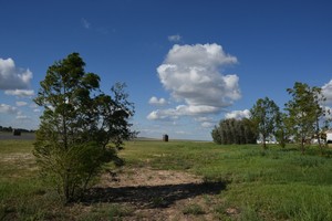 Imagen ilustrativa. Crédito: Mauricio Garín / Archivo El Litoral